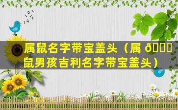 属鼠名字带宝盖头（属 🐟 鼠男孩吉利名字带宝盖头）